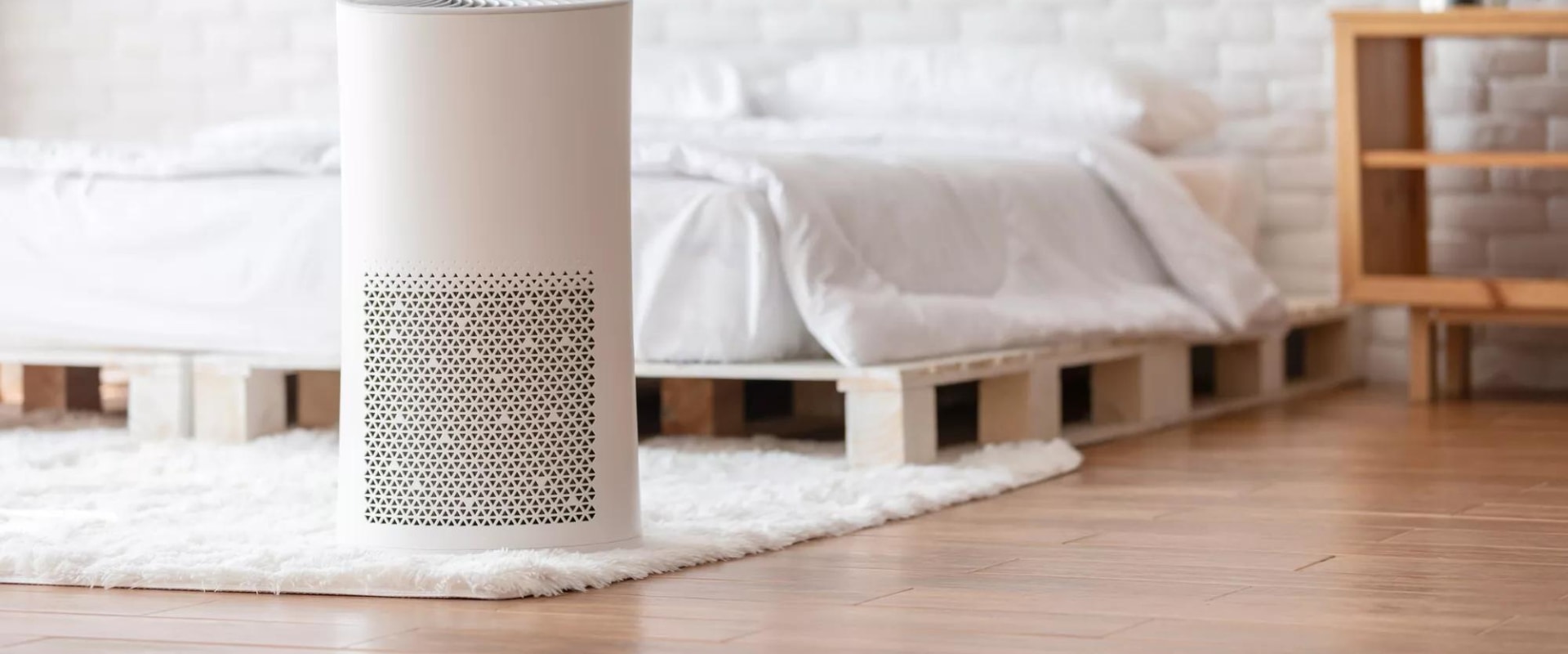 The Impact of Air Purifiers on Your Health