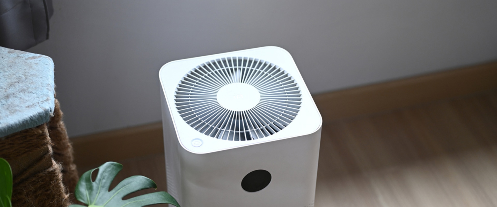 The Truth About Air Purifiers: Do They Really Improve Air Quality?