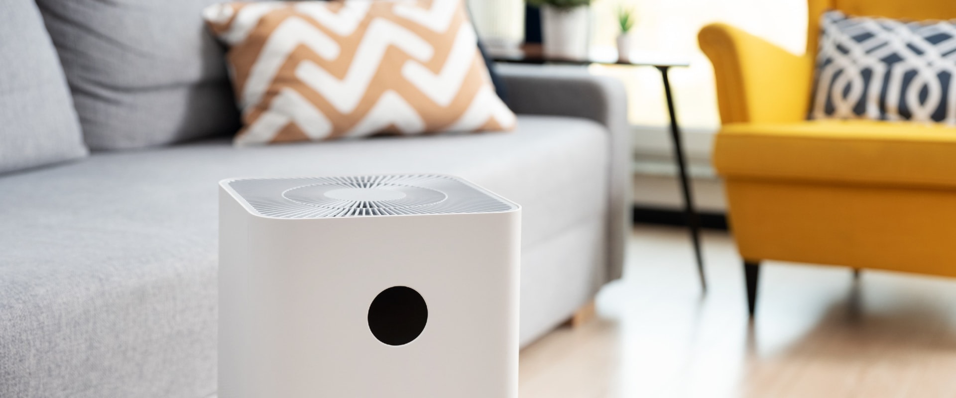 The Pros and Cons of Air Purifiers: An Expert's Perspective