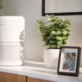 The Optimal Placement for an Air Purifier