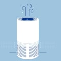 How Long Does It Take to See the Effects of an Air Purifier?